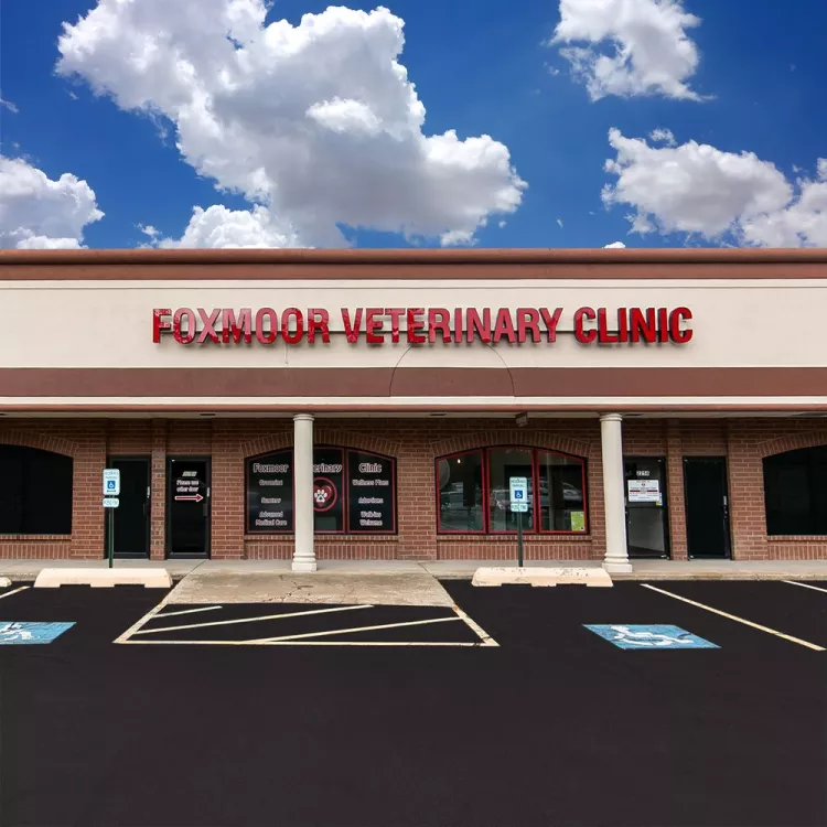 Foxmoor Veterinary Clinic, Illinois, Aurora